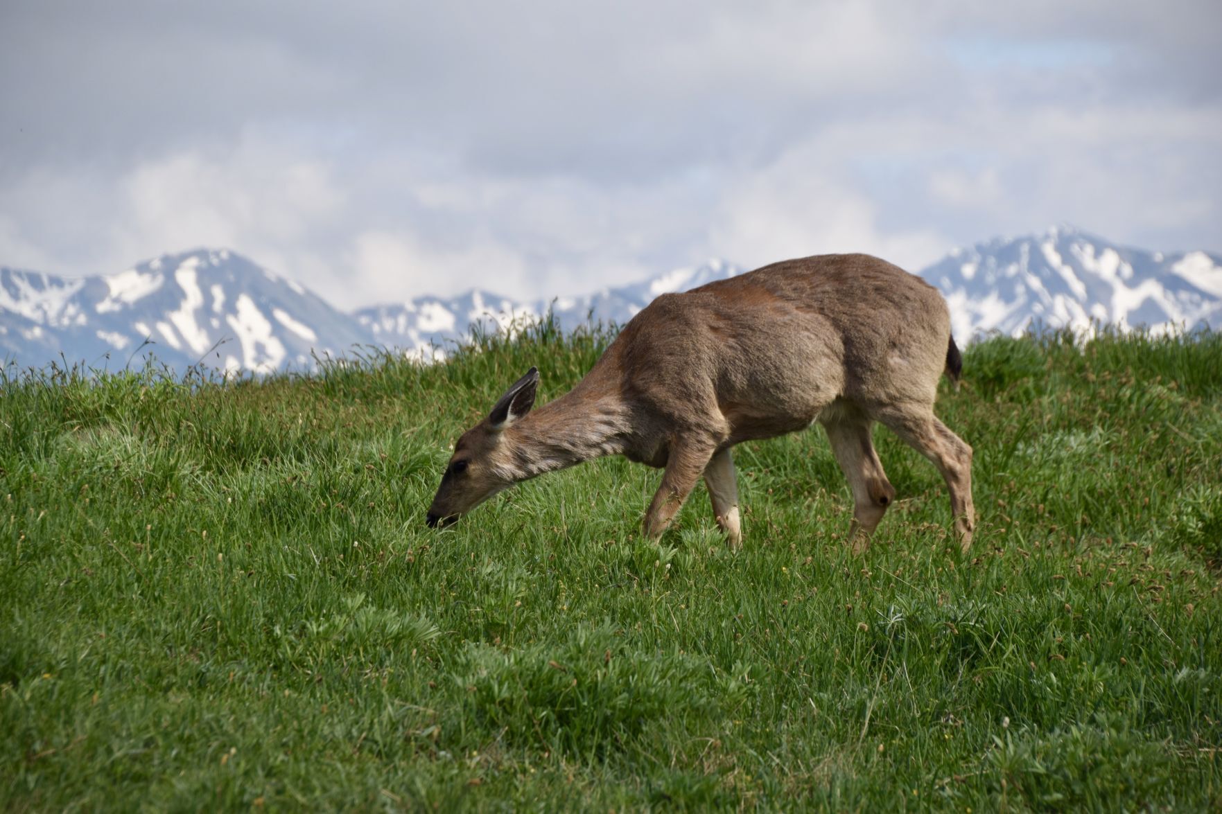 Travel story on Washington state